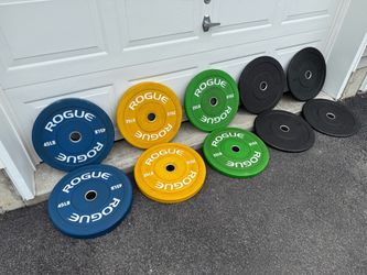Rogue Fitness color echo rubber Olympic bumper plates