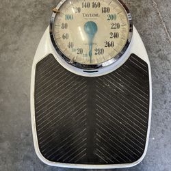 Taylor Professional Scale Capacity 330 lbs. Analog With 5 Markers