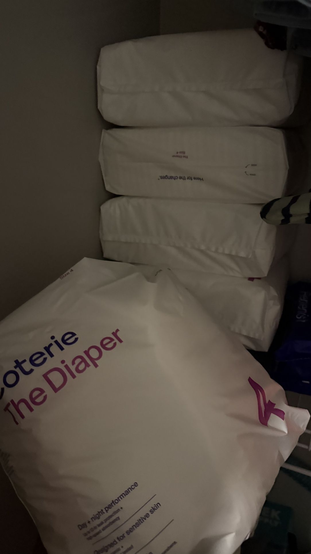 Coterie Diaper 