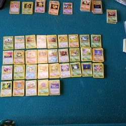 Complete Jungle First Edition Common Set