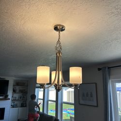 Chandelier Light Fixture