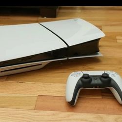 Slim Slim Disk Model