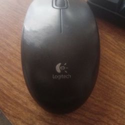 Work Mouse And Keyboard Both Have 5 foot Cord 