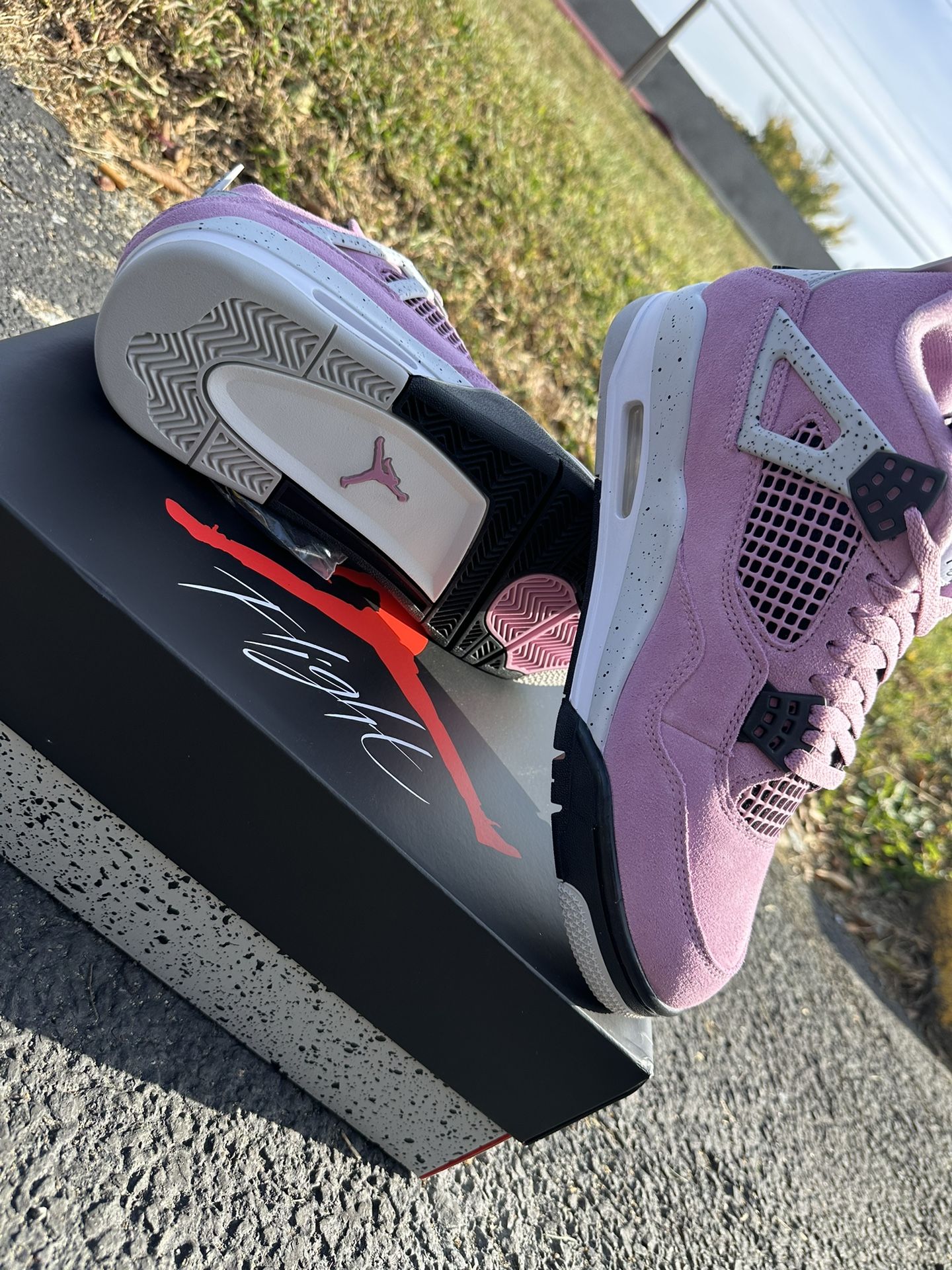 Jordan 4 (Orchid)
