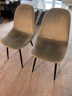 Modern Dinning chairs