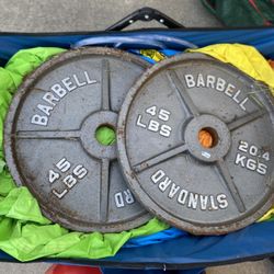 Bench With Weights And Squat And Bench Rack