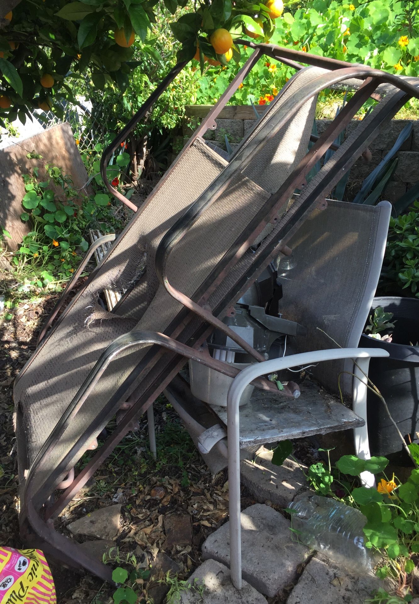 Free chair and chassis needs Fabríc