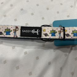 Dog Leash