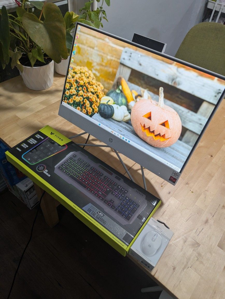HP DESKTOP ALL IN ONE NOT LAPTOP COMPUTER LAPTOP FAST WITH NEW KEYBOARD AND MOUSE 256GB WINDOWS 11