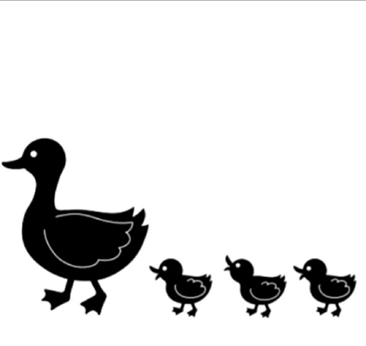 Darice Embossing Folder ~ Ducks