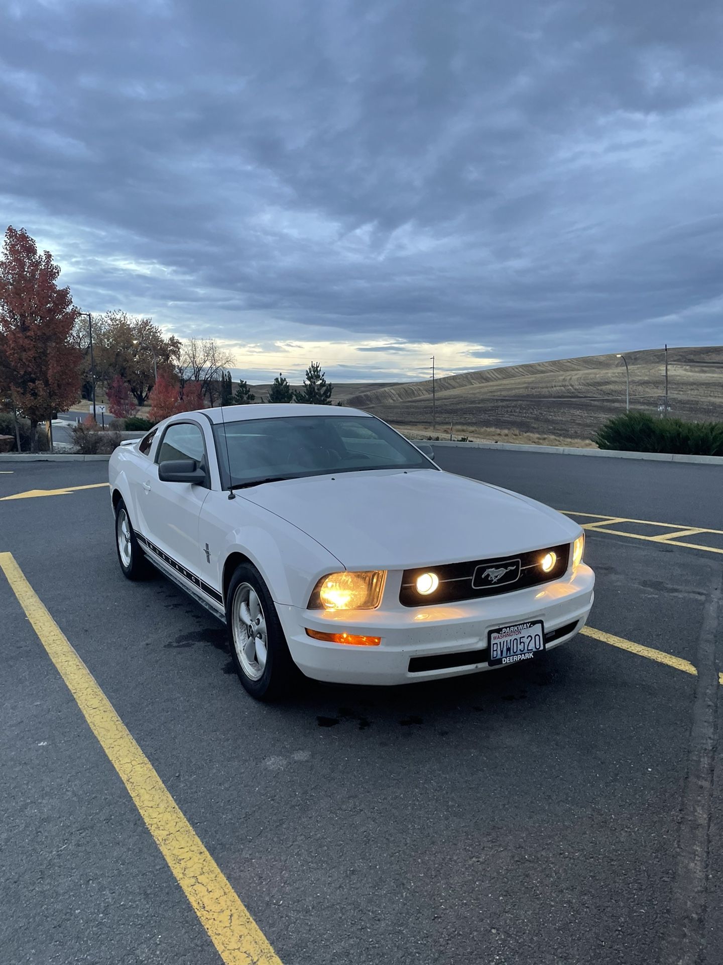 2007 Ford Mustang