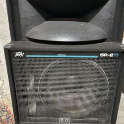 Vintage Peavey SP2ti Speaker 