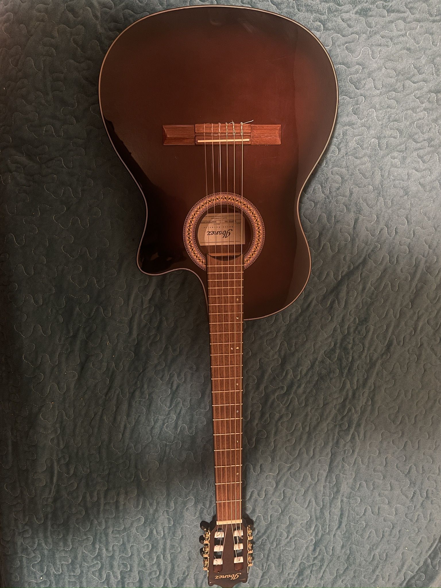 Ibanez Classical Guitar