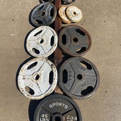 260 lbs Free Weights