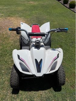 Razor quad 500