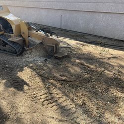 Stump Grinding