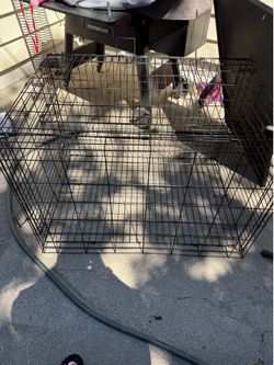 Large dog crate