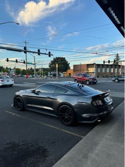 2019 Ford Mustang