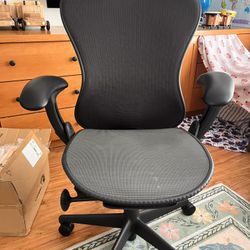 Herman Miller Ergonomic Office Chair