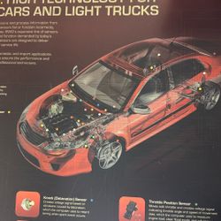 Automotive Mechanic.