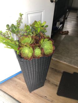 For sale