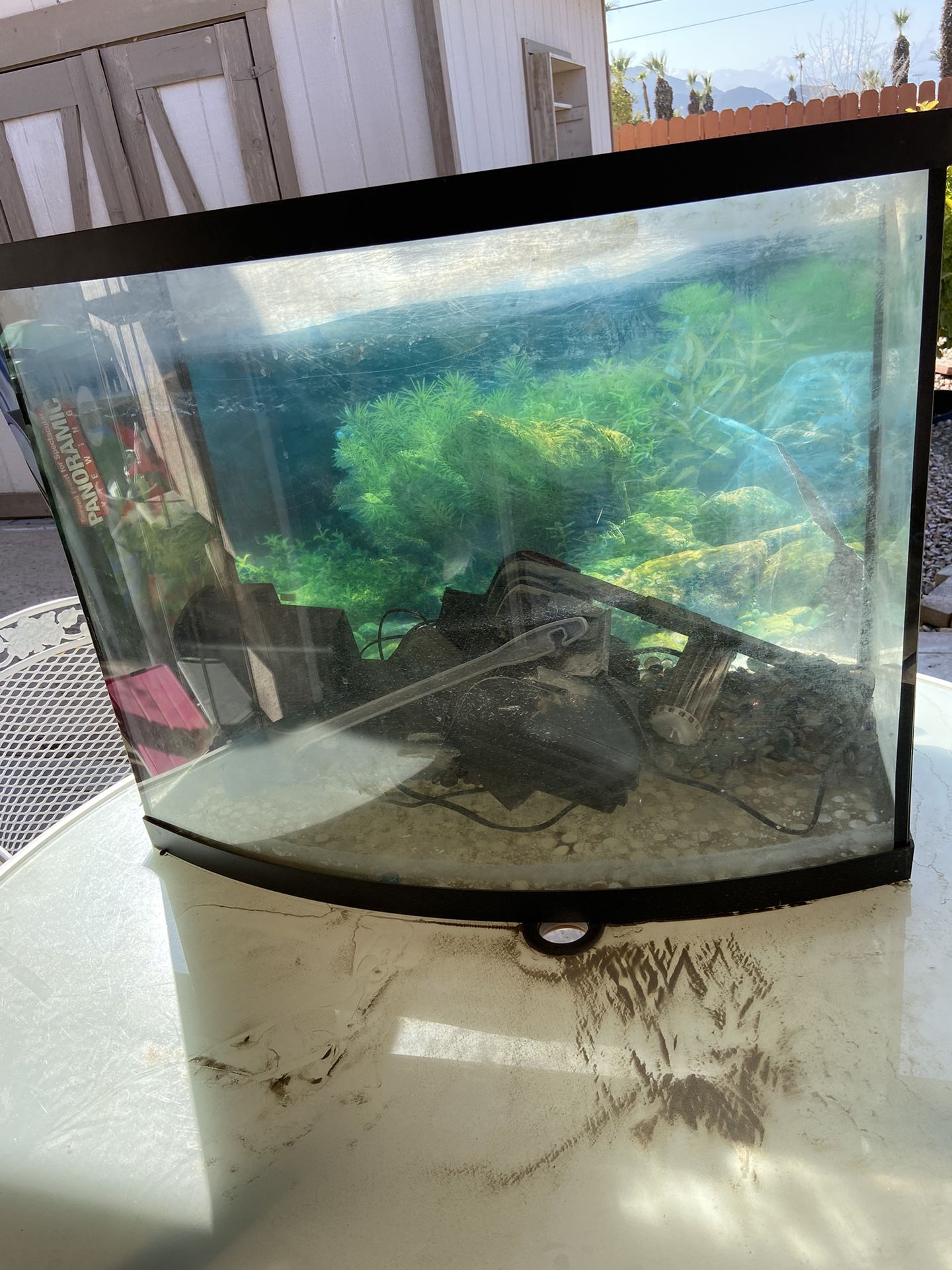 Aquarium 