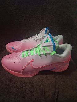 Nike lebron 22 i promise size 12