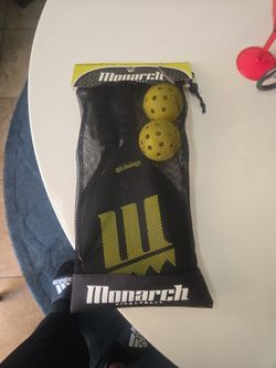 Pickleball Set