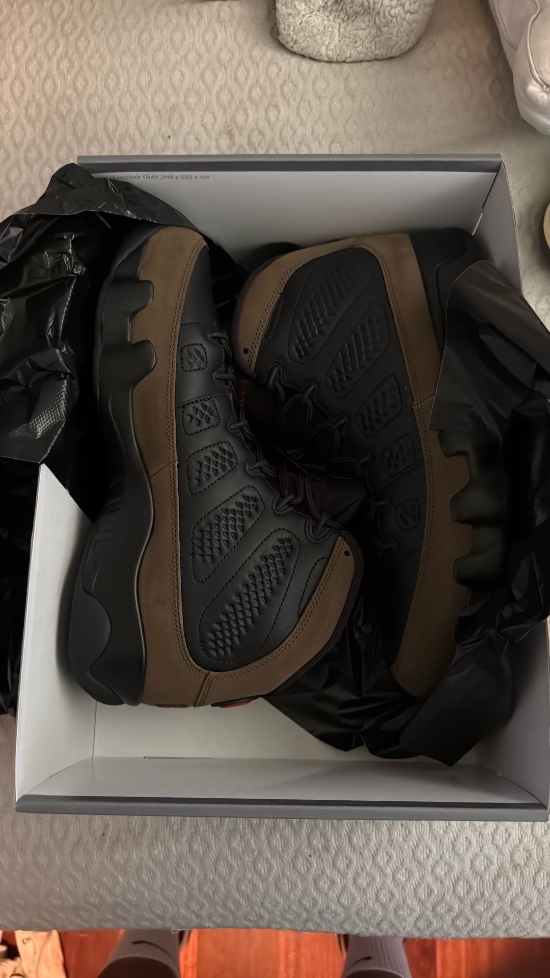 Jordan Olive 9