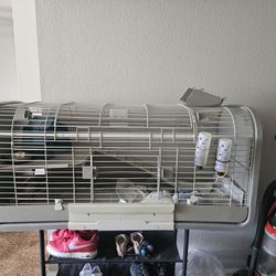 Guinea Pig Cage and Accessories 