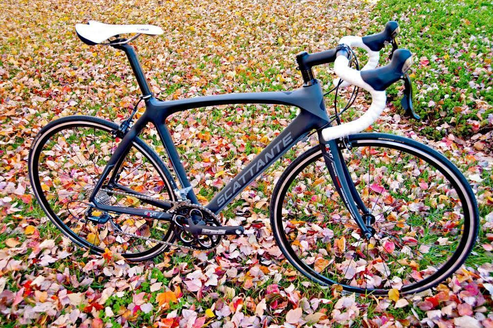 Scattante carbon road bike price new arrivals