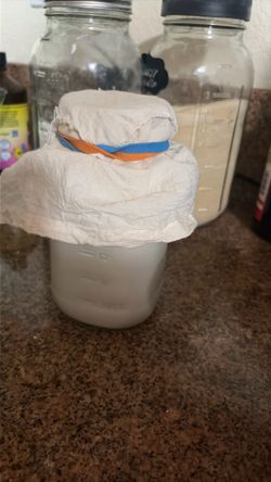Kefir Cultures