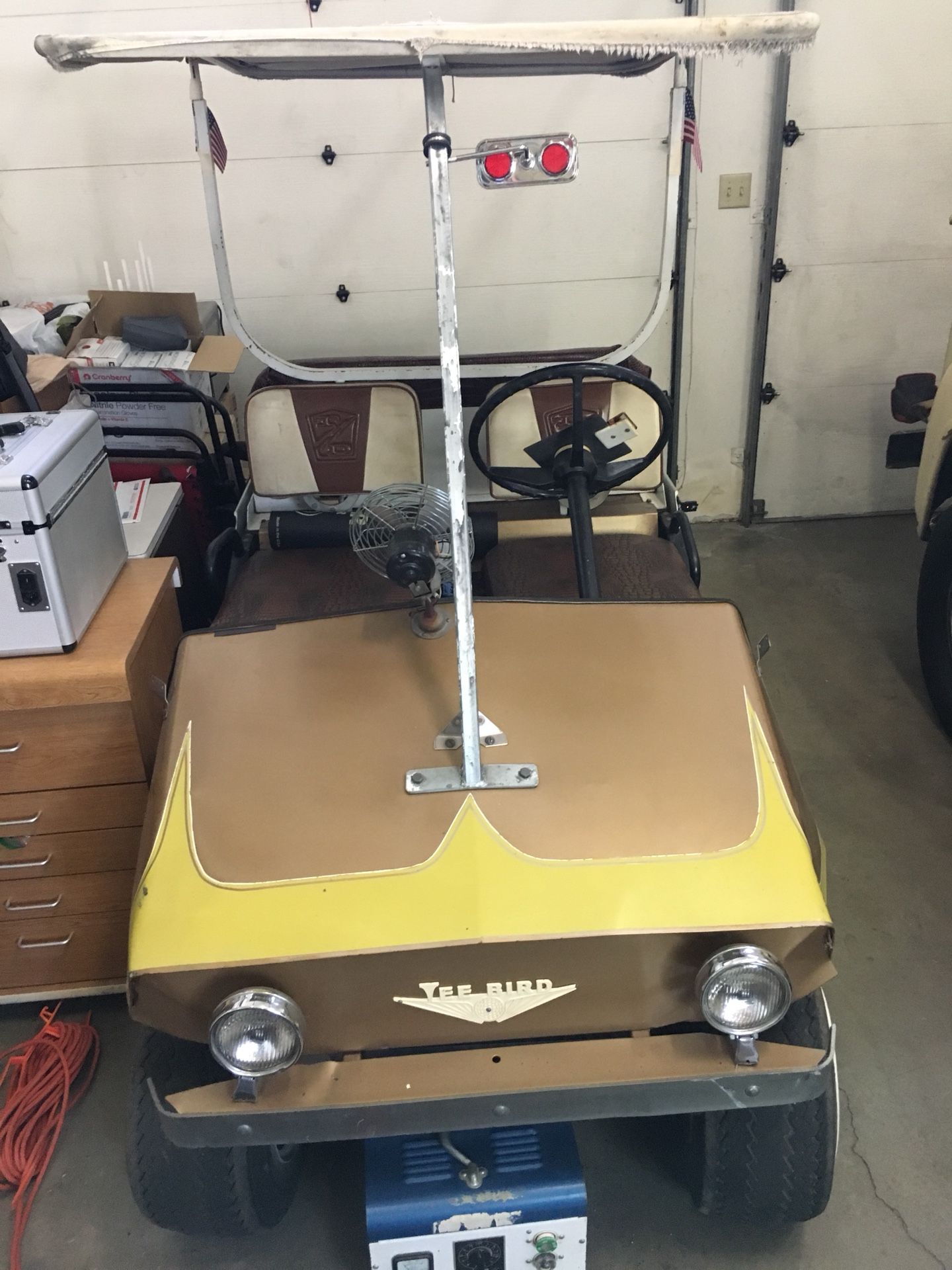 Vintage Taylor Dunn golf cart