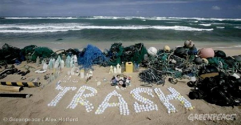 Got Trash?? 🔥🔥🔥🔥🔥🔥