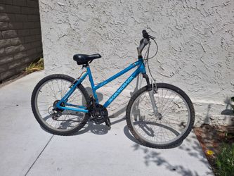 Blue Bike