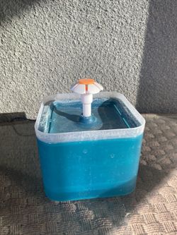 Pet Water 💦 Fountain ⛲️ 