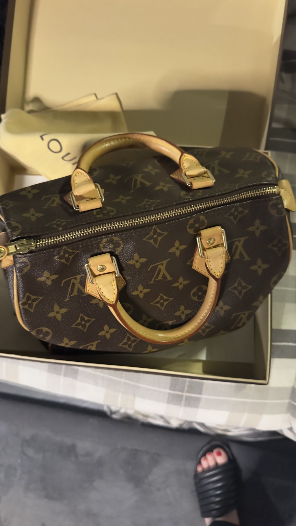 Louis Vuitton Speedy Bag 