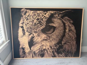 XL Owl Photograph Wall Art