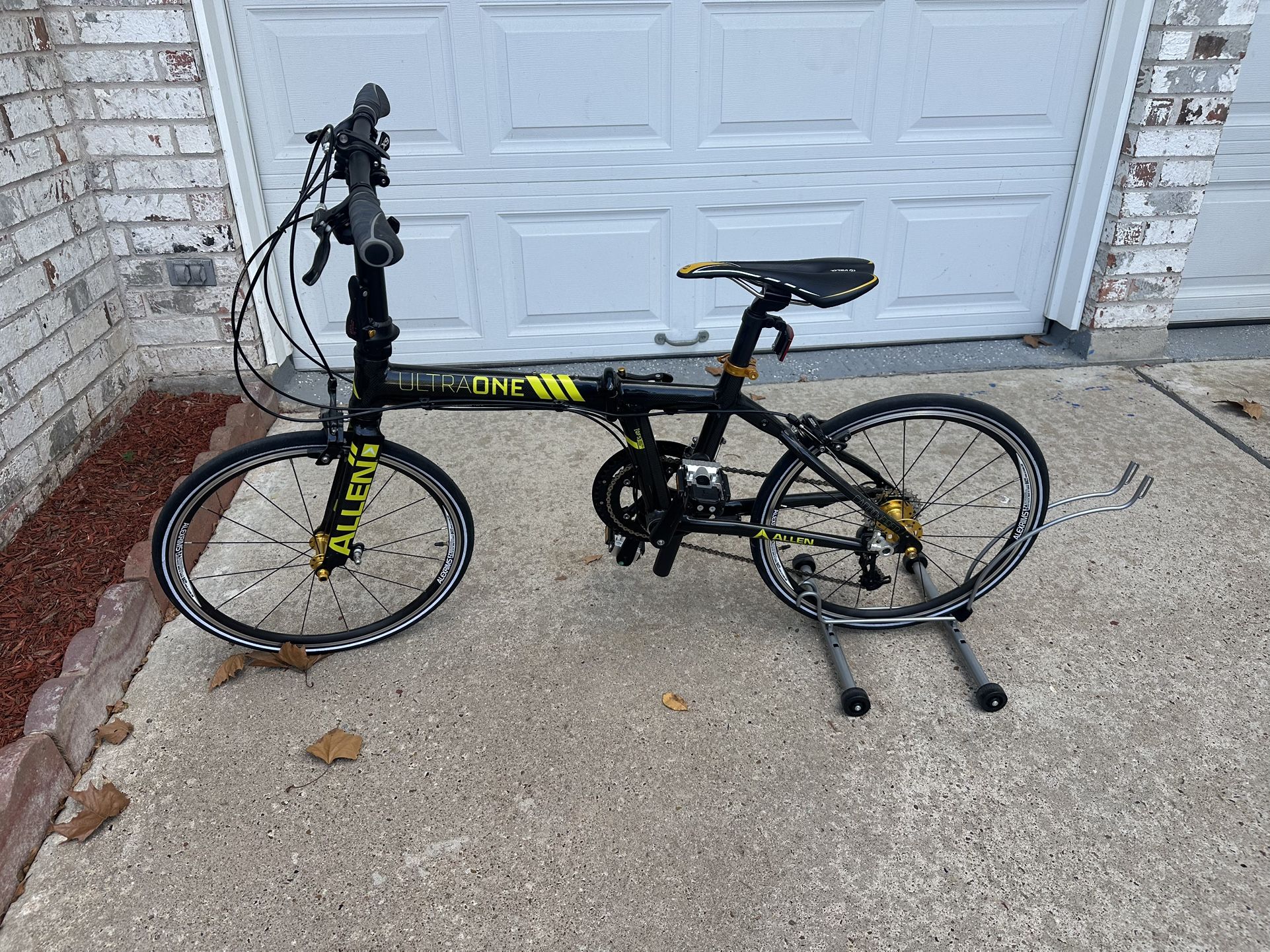 Allen Carbon Frame Foldable Bike