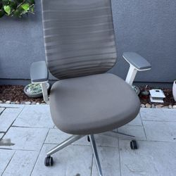Branch ergonomic Office Desk Chair 
