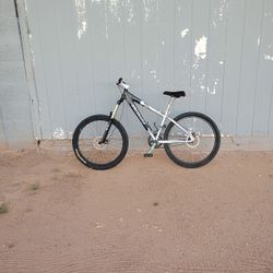 Team Specialized Downhill Team Bike