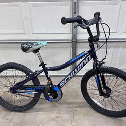 Boys 20”inch Schwinn Bike.