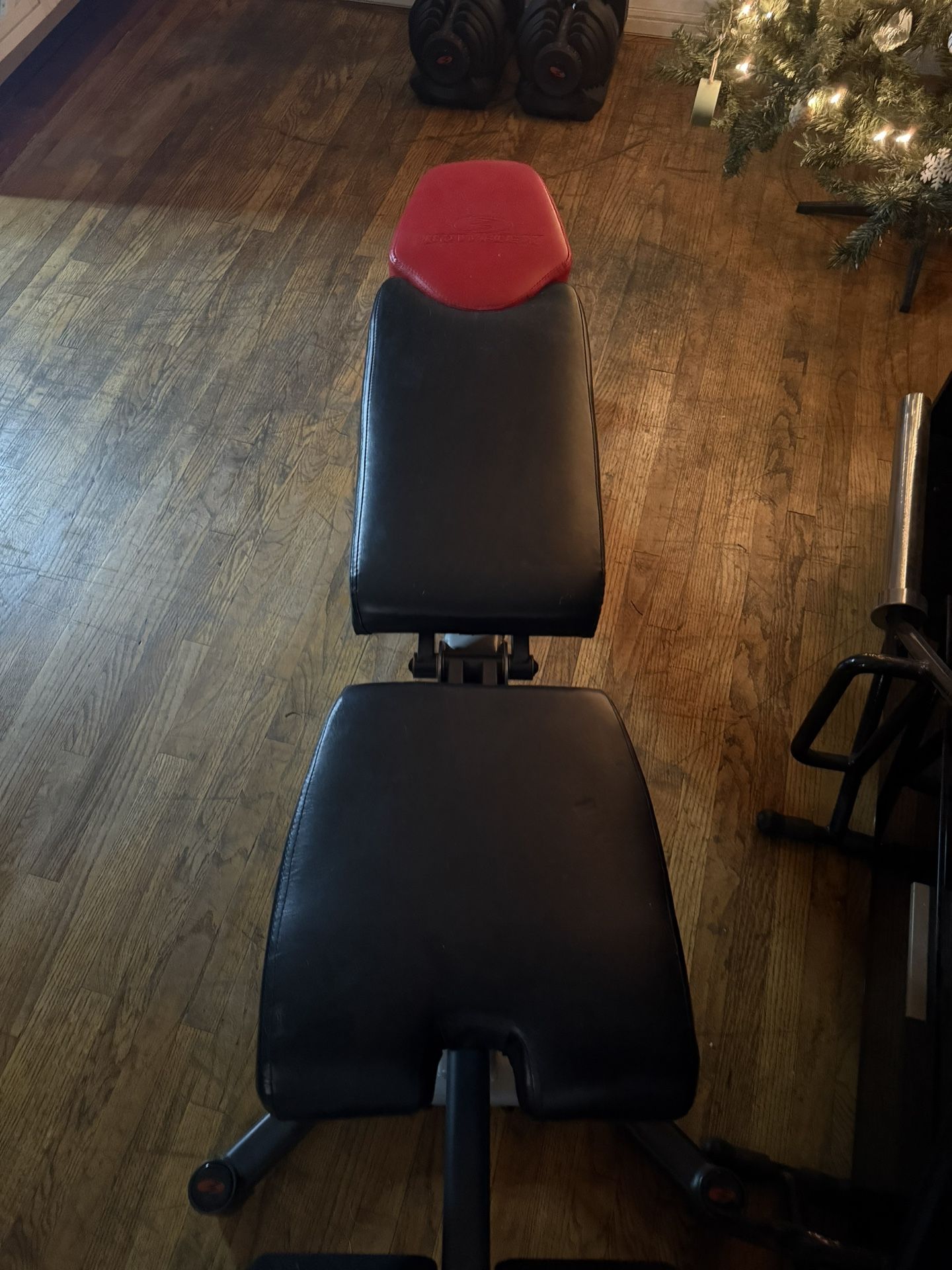 Bowflex Weight Bench 