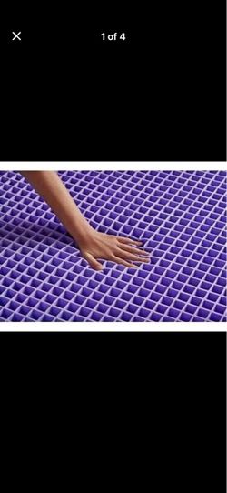 Purple plus