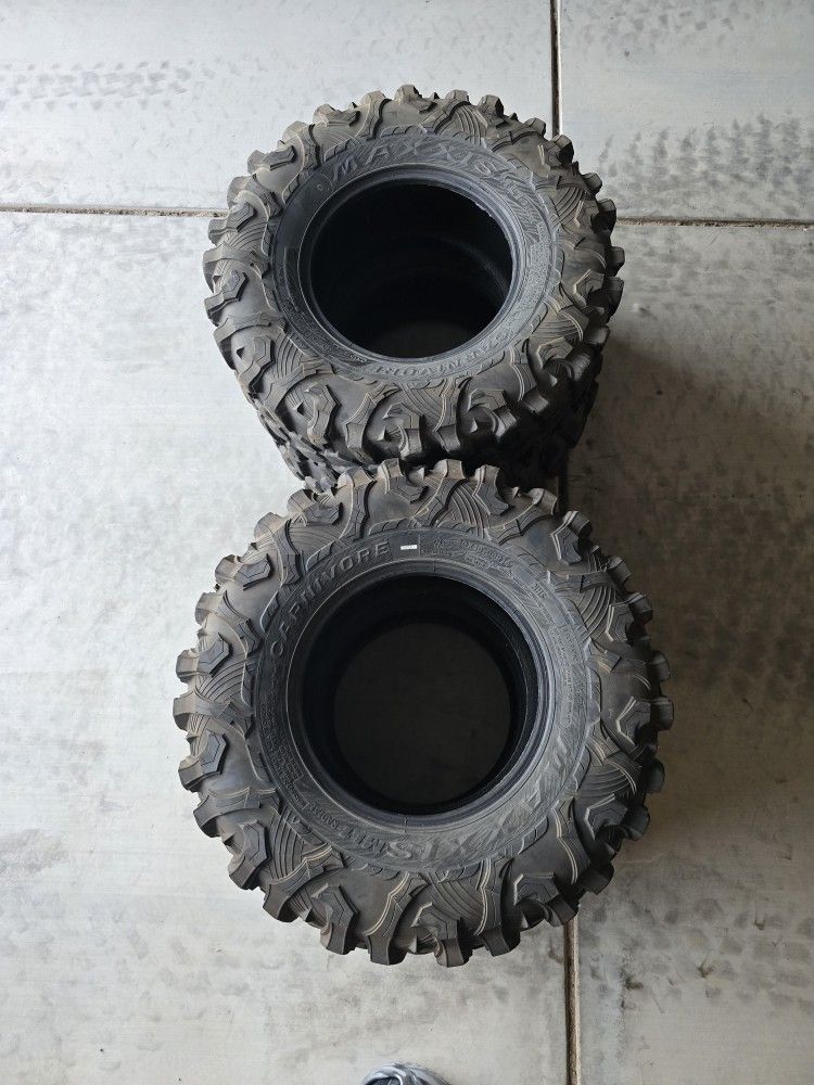 Maxxis Carnivore