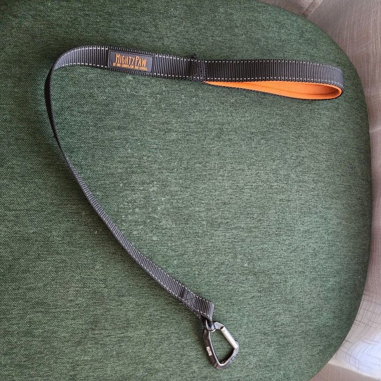 Short Dog Leash