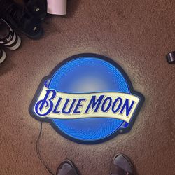 Light Up Beer Sign 