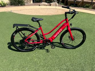 Wolff  URSA commuter E bike