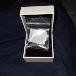 2 Pandora Charms 