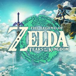 Does Anyone Have Zelda Totk??